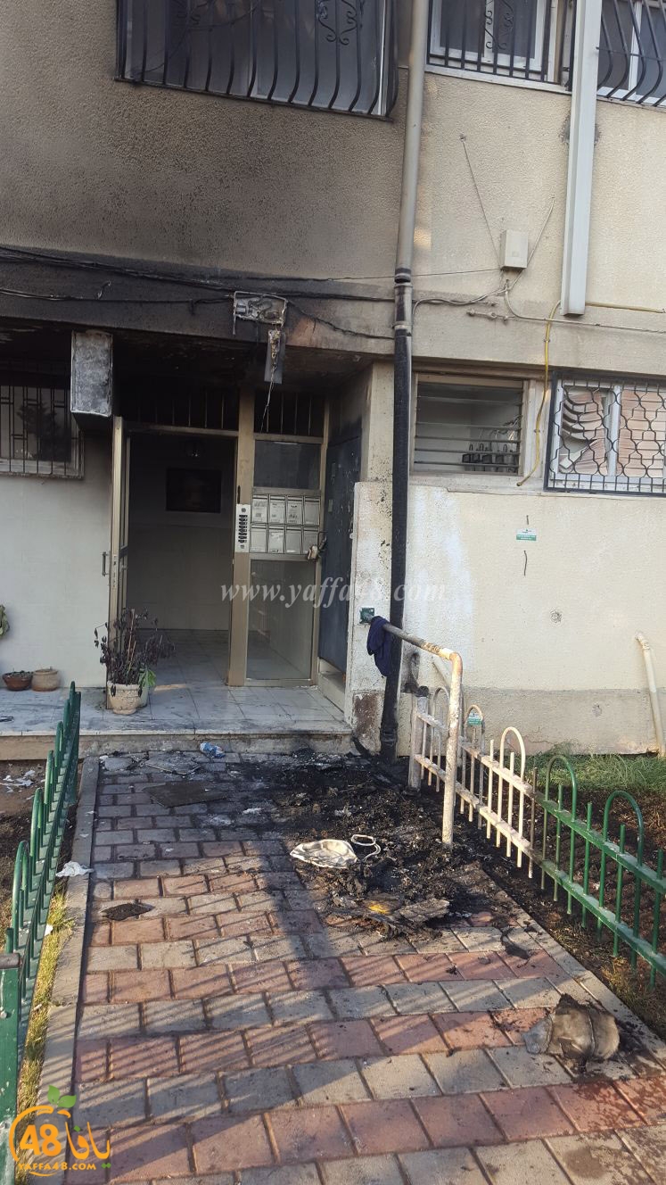 bike in firejehq (11).jpg